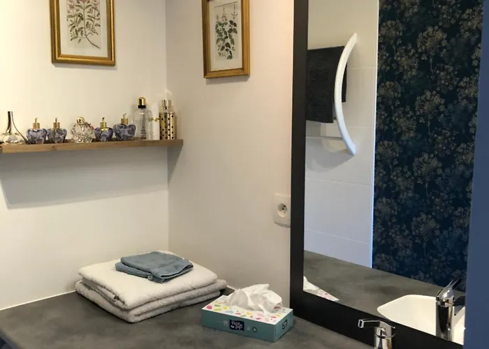 Confortable Et Moderne à - Arrivée Autonome Appartement Rouffire